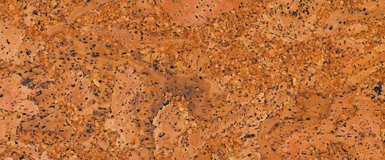 Rustico