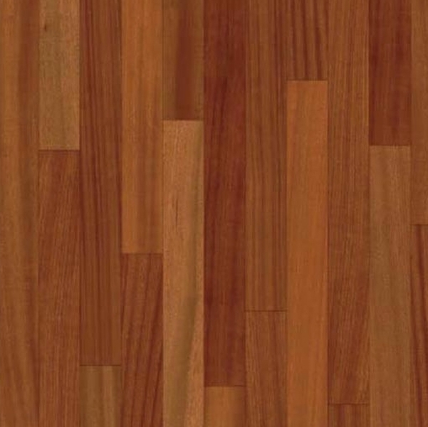 sapele